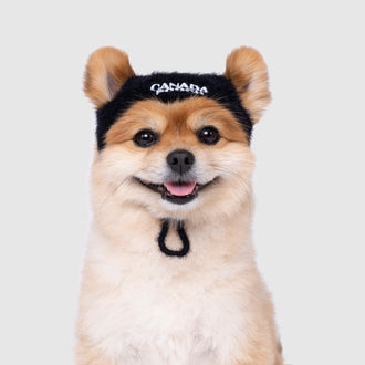 Pawparazzi Beanie in black, Canada Pooch, Dog Hat|| color::black|| size::S