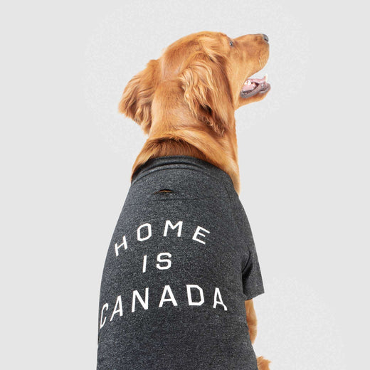 Home is Canada Dog Tee, Canada Pooch Dog T-Shirt