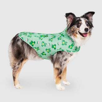 Pick Me Poncho in Frogs, Canada Pooch Dog Raincoat