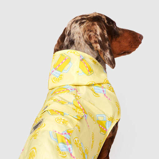 Canada pooch rain jacket hotsell