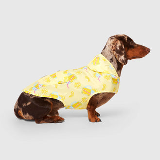 Pick Me Poncho in Lemonade, Canada Pooch Dog Raincoat