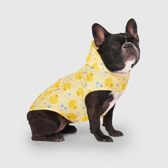 Pick Me Poncho in Rubber Ducks, Canada Pooch Dog Raincoat