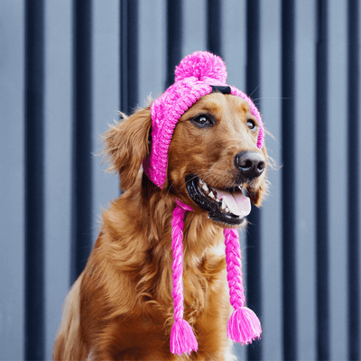 Polar Pom Pom Hat in Pink, Canada Pooch Dog Hat|| color::pink|| size::L|| name:: Bailey the Golden Retriever|| weight::55