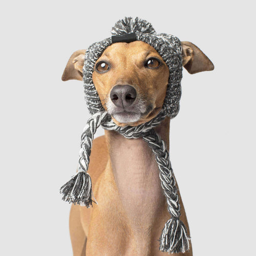 Polar Pom Pom Hat in Charcoal, Canada Pooch Dog Hat|| color::charcoal|| size::S|| name:: Joey the Whippet|| weight::20