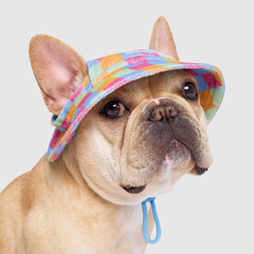 Resort Terry Hat in Rainbow Check, Canada Pooch Dog Hat