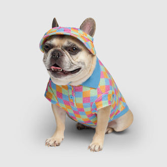 Resort Terry Tee in Rainbow Check, Canada Pooch Dog T Shirt|| color::rainbow-check|| size::14|| name:: Mini the French Bulldog|| weight::21