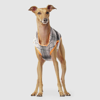 Reversible Dog Vest in Orange Plaid, Canada Pooch Reversible Dog Vest 