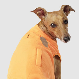Reversible Dog Vest in Orange Plaid, Canada Pooch Reversible Dog Vest || color::orange-plaid || size::14