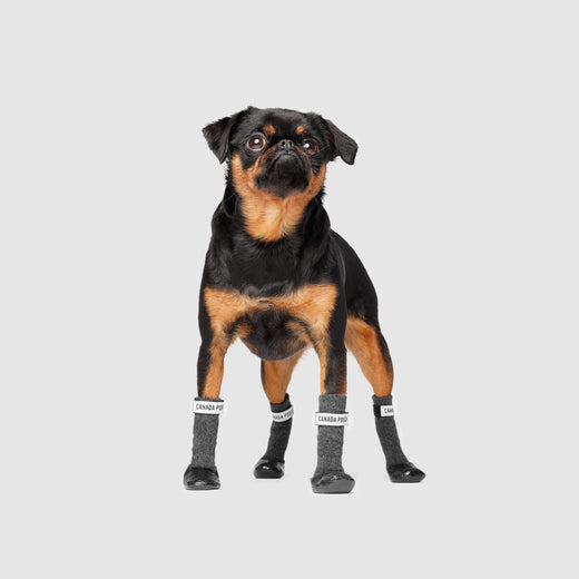 Secure Sock Boots in Black Grey, Canada Pooch Dog Socks