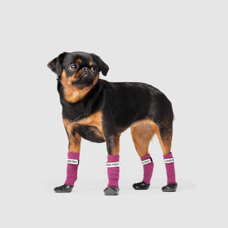 Secure Sock Boots in Black Grey, Canada Pooch Dog Socks 