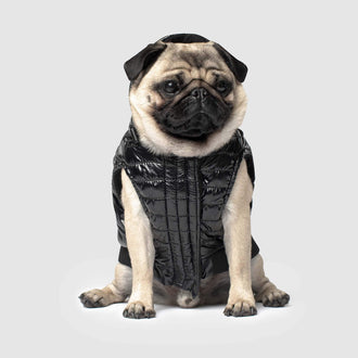 Shiny Puffer Dog Vest in Black, Canada Pooch Dog Puffer Vest || color::black || size::14