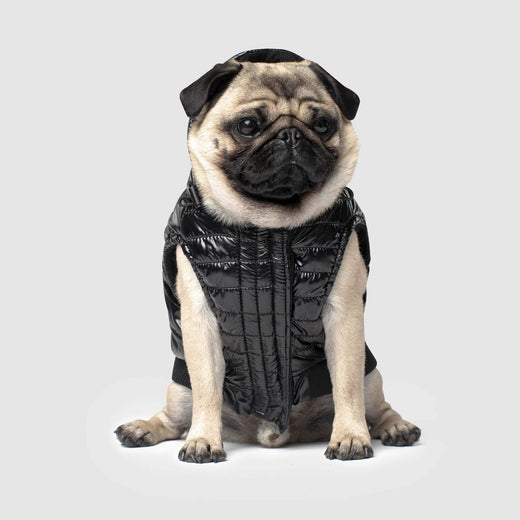 Dog vest jacket shop
