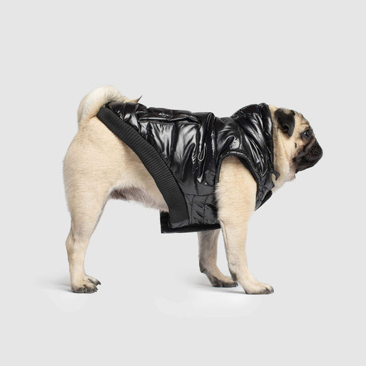 Shiny Puffer Dog Vest in Black, Canada Pooch Dog Puffer Vest
