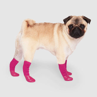 PUPTECK Non Slip Dog Socks for Hot Pavement with Grips, Dog Shoes for  Hardwood Floors Licking Booties for Small Medium Large Size Dogs, Summer  Paw