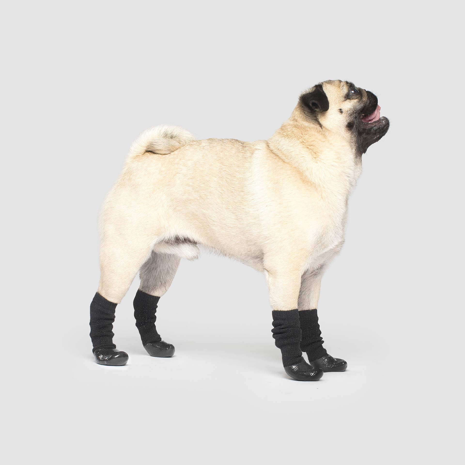 Canada Pooch Slouchy Socks
