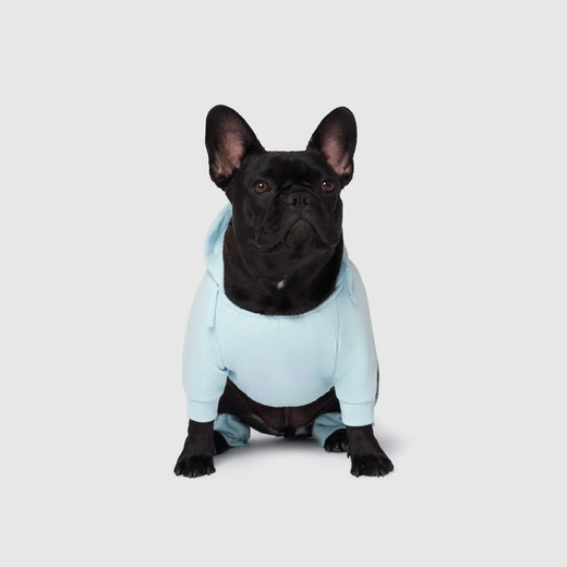 Soft Side Sweatsuit in Blue, Canada Pooch Dog Onesie