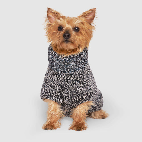 Soho Sweater in Grey Mix, Canada Pooch Dog Sweater|| color::grey-mix|| size::12|| name:: Patsy the Yorkshire Terrier|| weight::8