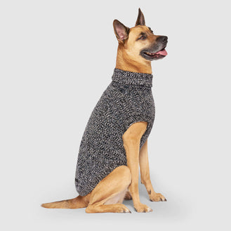 Soho Sweater in Grey Mix, Canada Pooch Dog Sweater|| color::grey-mix|| size::28|| name:: Dawson the Boxsky|| weight::76