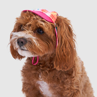 Sun Shield Hat in Tie Dye, Canada Pooch Dog Hat|| color::tie-dye|| size::M|| name:: Rosie the Cavapoo|| weight::15