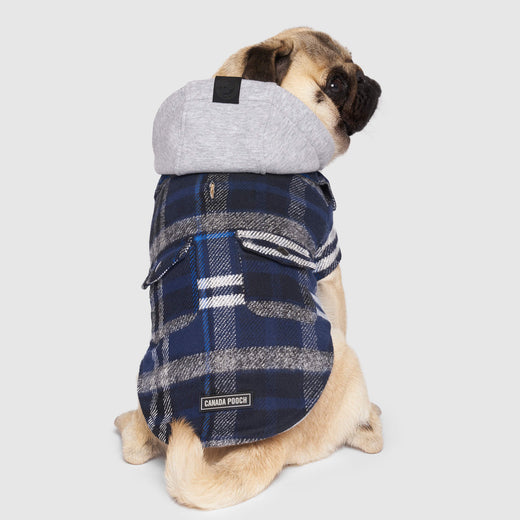 Canada Pooch Plaid Shacket Blue Plaid Size 24