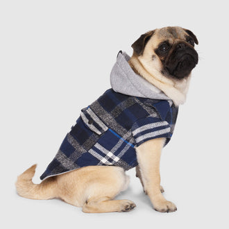 The Shacket in Blue Plaid, Canada Pooch Dog Jacket|| color::blue-plaid|| size::14|| name:: Crowley the Pug|| weight::19