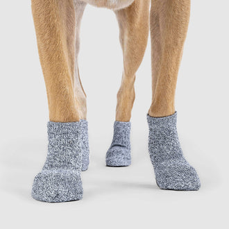 The Basic Dog Socks Grey, Canada Pooch Dog Socks || color::grey || size::XL