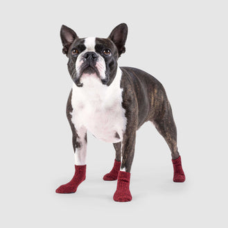 The Basic Dog Socks Red, Canada Pooch Dog Socks 