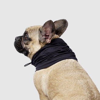 Thermal Dog Snood in Black, Canada Pooch Dog Snood 