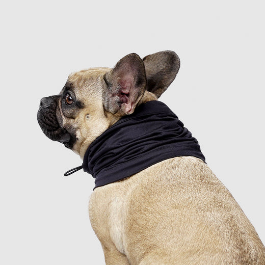 Thermal Dog Snood in Black, Canada Pooch Dog Snood
