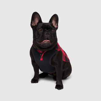 Thermal Tech Fleece in Red Plaid, Canada Pooch Dog Vest|| color::red-plaid|| size::14|| name:: Shelby the French Bulldog|| weight::25