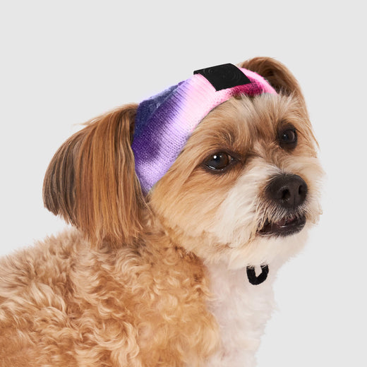 Tie Dye Hat in Purple Tie Dye, Canada Pooch Dog Hat