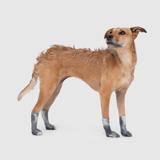 Tie Dye Socks in Black & White Tie Dye, Canada Pooch Dog Socks