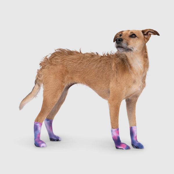 Slouchy Anti-Slip Dog Socks