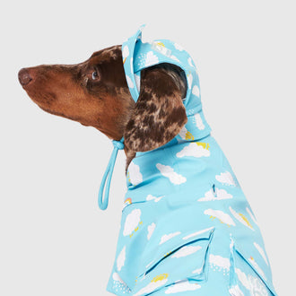 Torrential Tracker Rain Hat Wet Reveal in Wet Reveal Blue Clouds, Canada Pooch Dog Hat|| color::wet-reveal-clouds|| size::S|| name:: Louis the Daschund|| weight::11