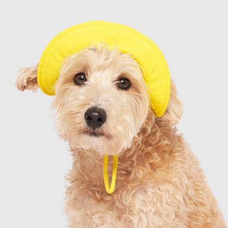 Torrential Tracker Hat in Yellow, Canada Pooch Dog Hat