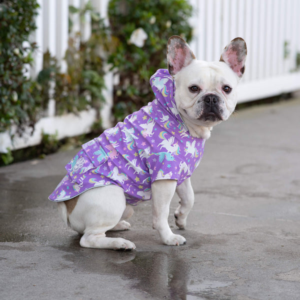 Torrential Tracker Wet Reveal Dog Coat With Pockets Canada Pooch