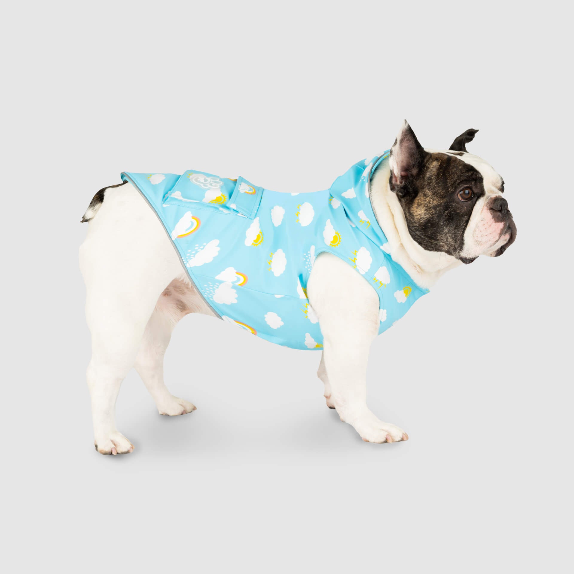 H&m dog raincoat best sale