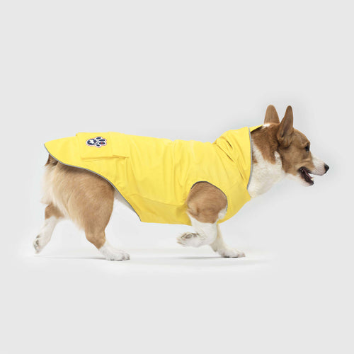 Torrential Tracker in Yellow, Canada Pooch Dog Raincoat|| color::yellow|| size::18|| name:: Dudley the Corgi|| weight::26