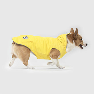 Torrential Tracker in Yellow, Canada Pooch Dog Raincoat