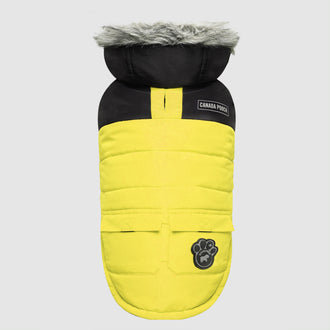 The True North Dog Parka in Yellow, Canada Pooch || color::yellow || size::na