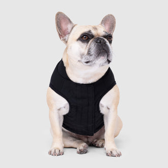 Ultimate Stretch Vest in Black, Canada Pooch Dog Vest|| color::black|| size::14|| name::Mini The French Bulldog|| weight::21