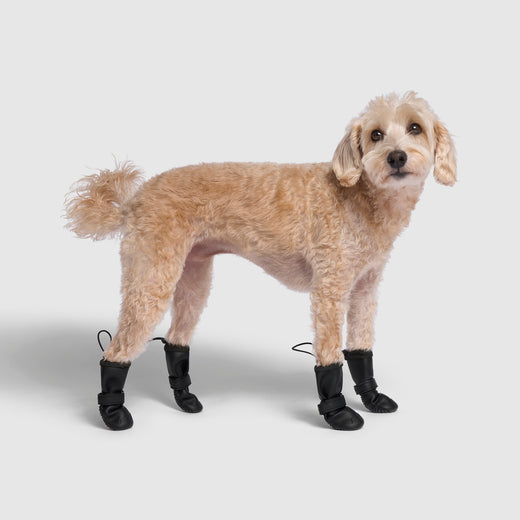 Waterproof Rain Boots in Black, Canada Pooch Dog Boots