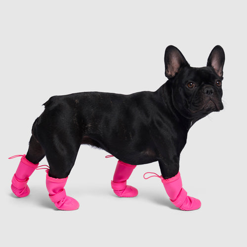 Waterproof Rain Boots in Pink, Canada Pooch Dog Boots|| color::pink|| size::3|| name:: Shelby the French Bulldog|| weight::21