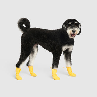 Buy KUTKUT Dog Shoes for Hardwood Floors, Breathable Dog Boots with  Anti-Slip Rugged Sole, Summer Dog Booties
