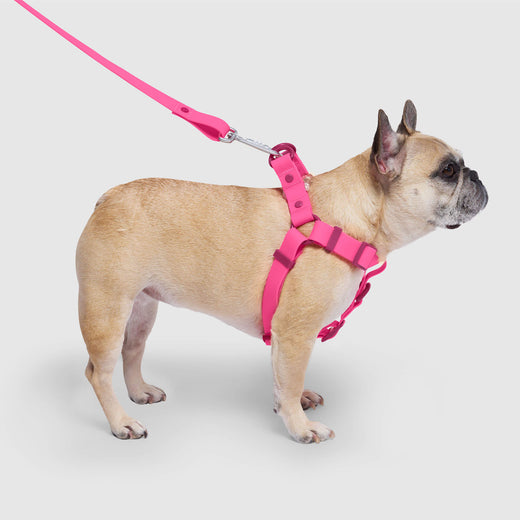 Waterproof Harness
