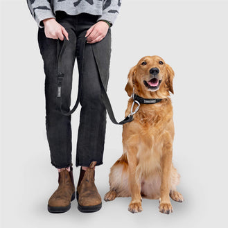 Dog Collars & Leashes - Pet Supermarket