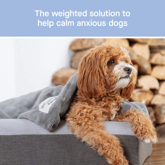 Weighted Calming Blanket in Grey, Canada Pooch, Dog Calming|| color::grey|| size::na