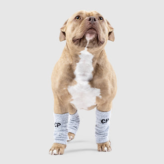 Work It Dog Leg Warmers in Grey, Canada Pooch Dog Leg Warmers || color::grey || size::L