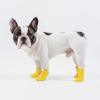 Wellies Unlined Dog Boots in Yellow, Canada Pooch, Dog Boot 